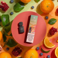 Aurora Pod - Blueberry Orange Pomegranate (1 Piece)