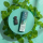 Aurora Pod - Gardenia Mint (1 Stück)