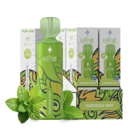 Aurora - Gardenia Mint (1 Stück)