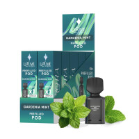 Aurora Pod - Gardenia Mint