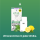 Cuatro Pod - Lemon Mint