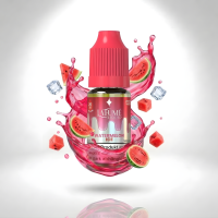Liquid - Watermelon Ice - 10ml