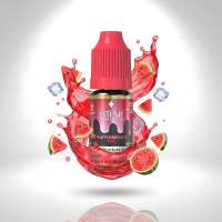 Liquid - Watermelon Ice - 10mg (1 Stück)